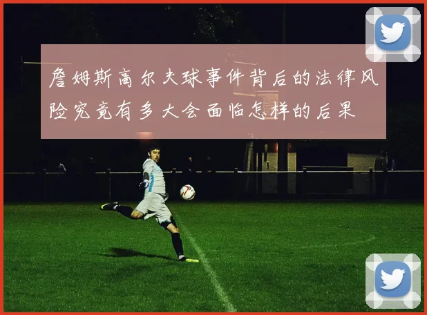 詹姆斯高尔夫球事件背后的法律风险究竟有多大会面临怎样的后果