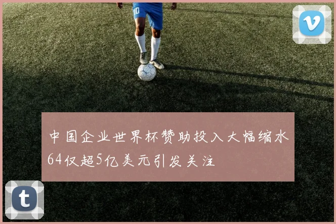 中国企业世界杯赞助投入大幅缩水64仅超5亿美元引发关注