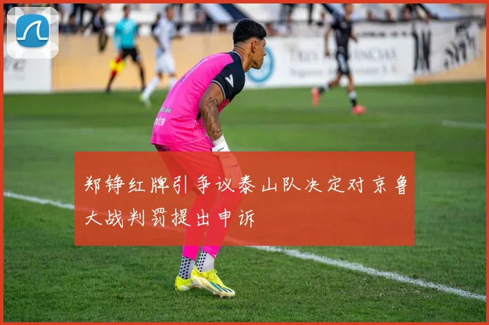 郑铮红牌引争议泰山队决定对京鲁大战判罚提出申诉